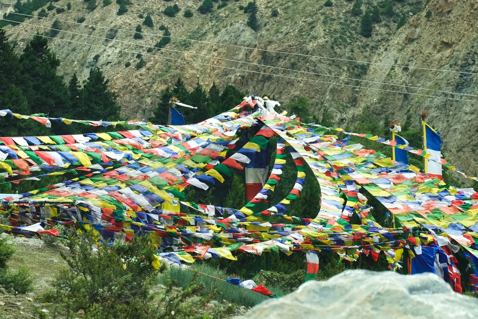Prayer flags strung across an open field near a monastery